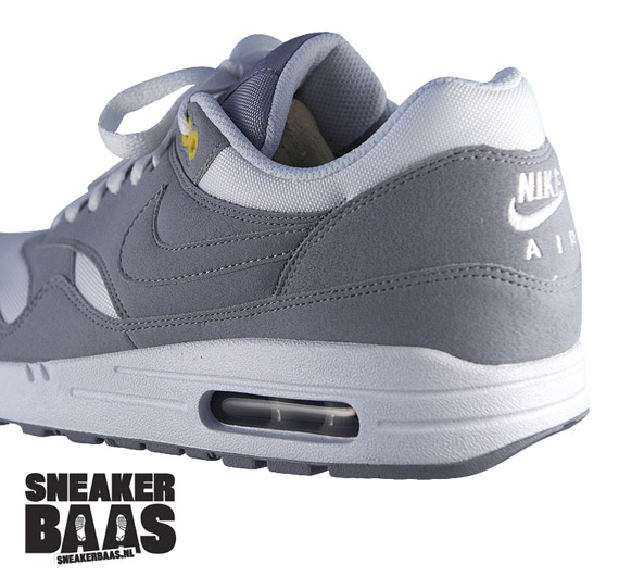 Nike Wmns Air Max 1 Wolf Grey 3