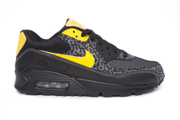 Nrml Nike Sportswear 15th Anniversary Dunk Air Max 90 2