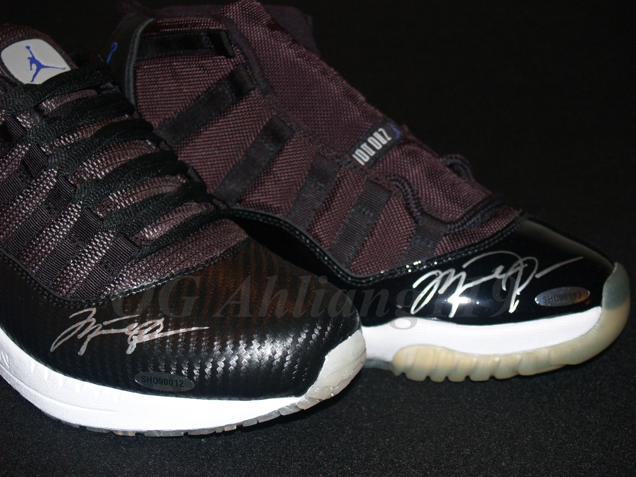 Air Jordan Autographed Collection 04