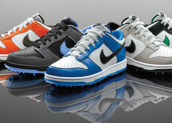 Nike Dunk Ng January 2012 1