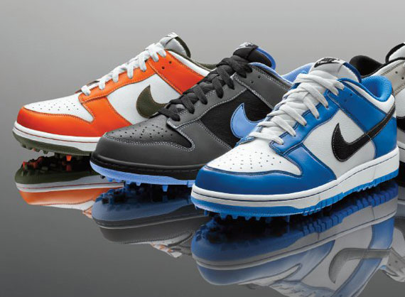 Nike Dunk Ng January 2012 3