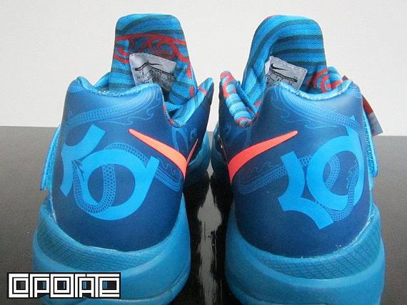 Kd Iv Dragon Corporate 5