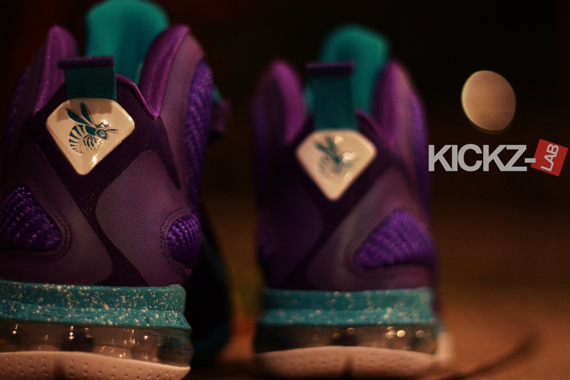 Nike Lebron 9 Hornets 2