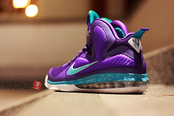 Nike Lebron 9 Hornets 5