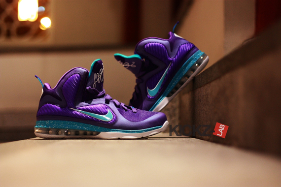 Nike Lebron 9 Hornets 6