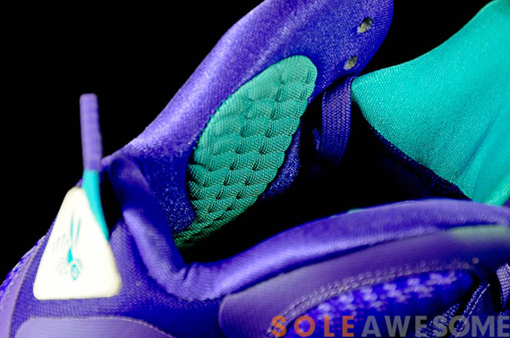 Nike Lebron 9 Hornets Sa 10