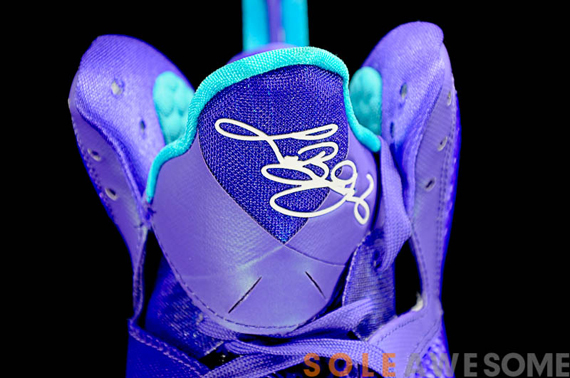 Nike Lebron 9 Hornets Sa 19