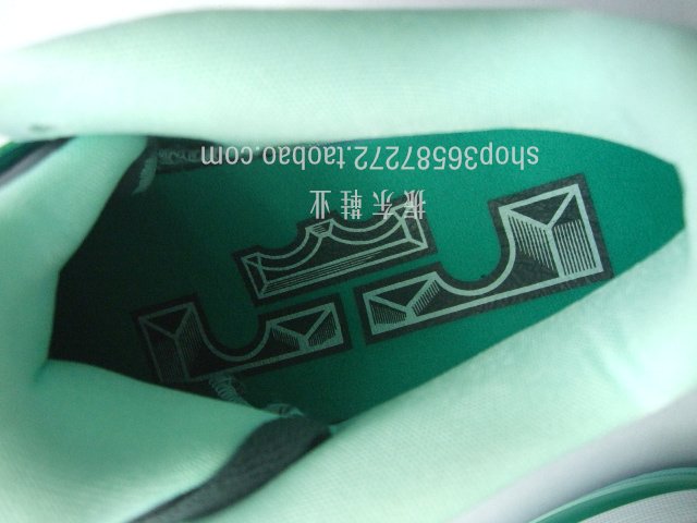 Nike Lebron 9 Low Easter 19