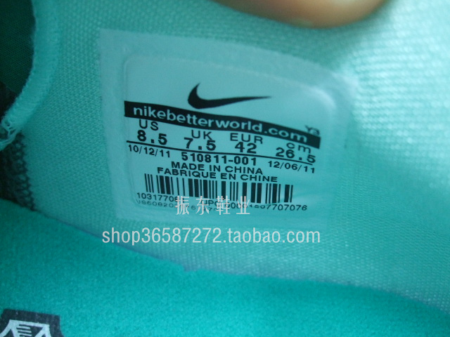 Nike Lebron 9 Low Easter 20