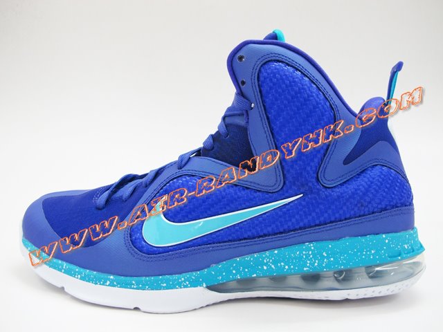Nike Lebron 9 Summit Lake Hornets 22