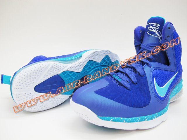 Nike Lebron 9 Summit Lake Hornets 61