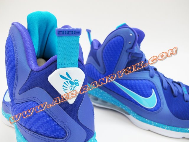 Nike Lebron 9 Summit Lake Hornets 9