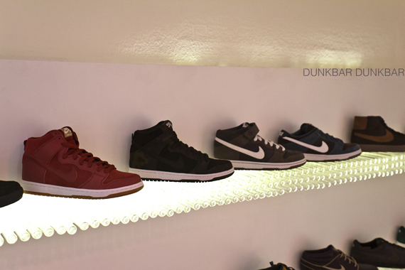 Nike Sb Fall 2012 Bright Show 11