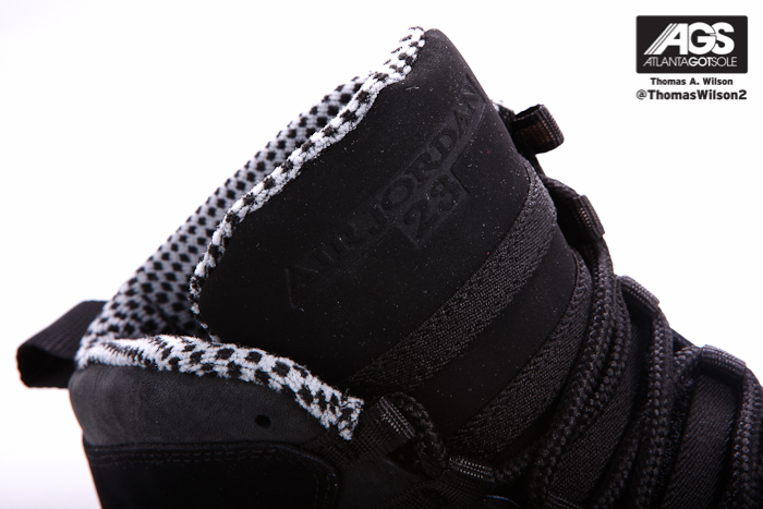 Air Jordan X Stealth New Photos 08