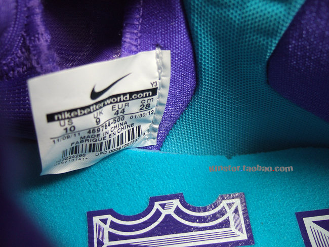 Nike Lebron 9 Summit Lake Hornets 10