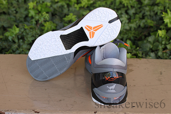 Kobe Vii Wolf Reminder 3