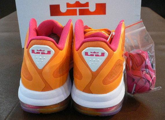 Lebron 9 Low Floridians 3