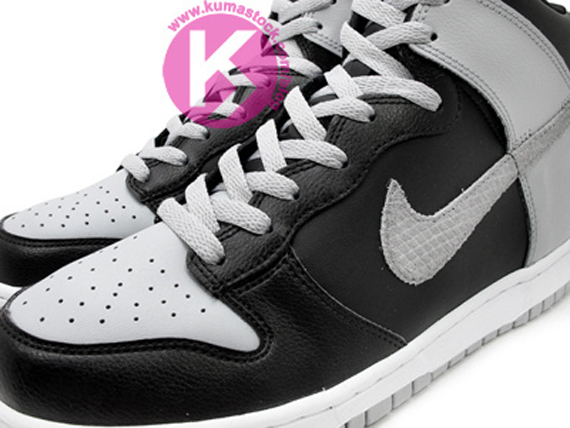 Nike Dunk High Fall 2012 5