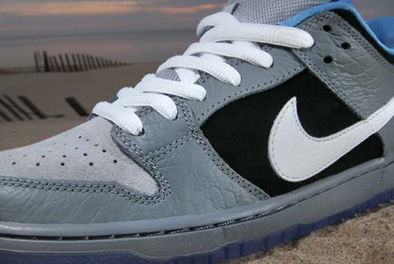 Premier Sb Dunk Low 10