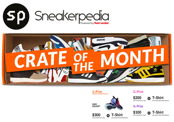 Sneakerpedia Crate Of The Month June 2012 1