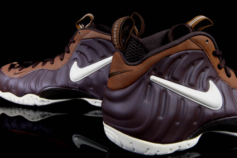 Nike Air Foamposite Pro Chocolate Sample 01