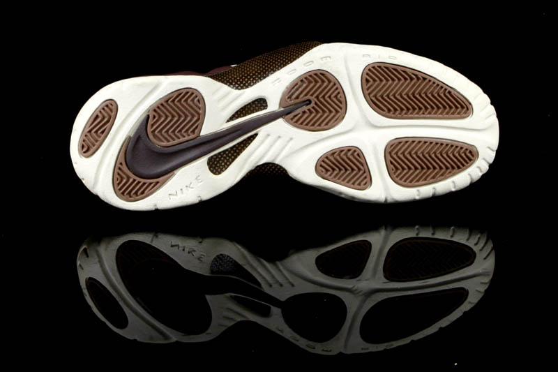 Nike Air Foamposite Pro Chocolate Sample 03