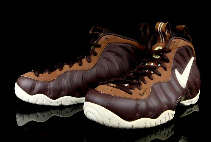 Nike Air Foamposite Pro Chocolate Sample 09
