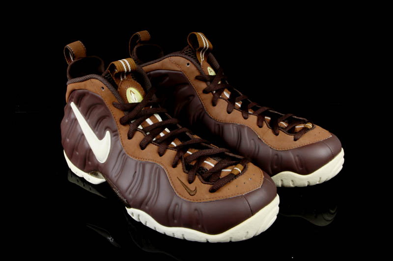 Nike Air Foamposite Pro Chocolate Sample 10