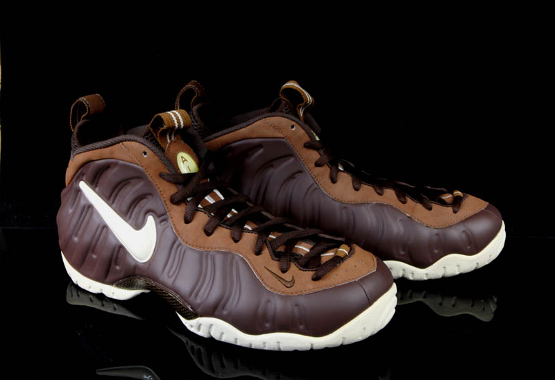 Nike Air Foamposite Pro Chocolate Sample 11