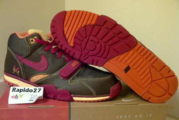 Nike Air Trainer 1 Sb Gold Digger