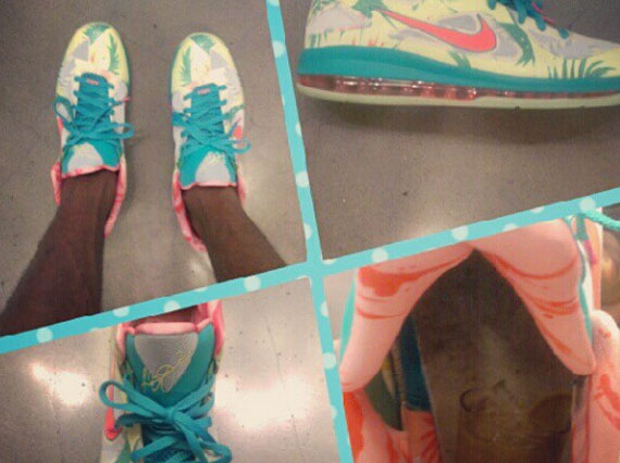 Nike Lebron 9 Low Lebronold Palmer