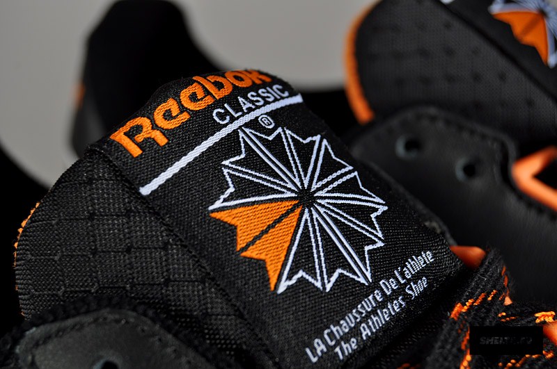 Reebok Dash Runner 13