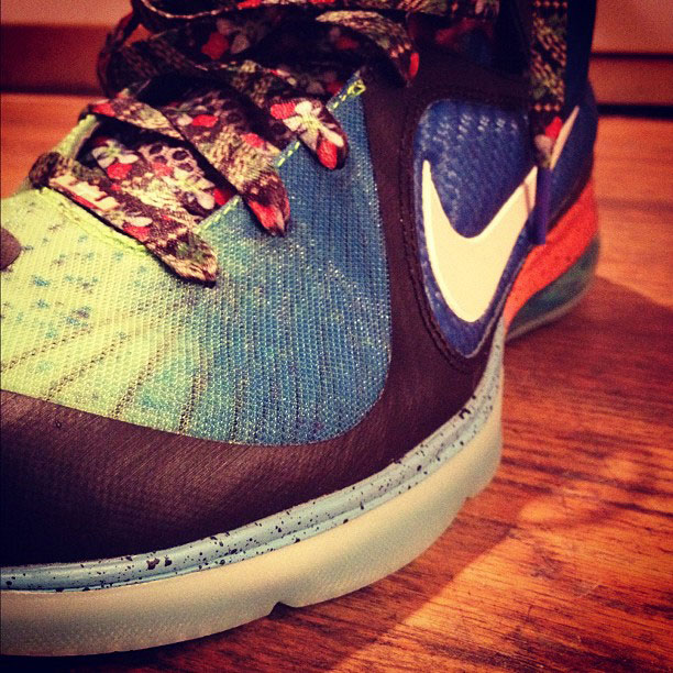 Nike Lebron 9 What The Lebron 2