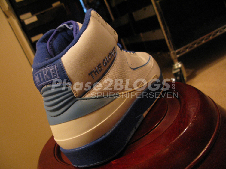 Air Jordan Ii The Glove