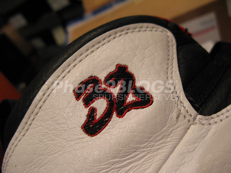 Harold Miner Air Jordan X Pe