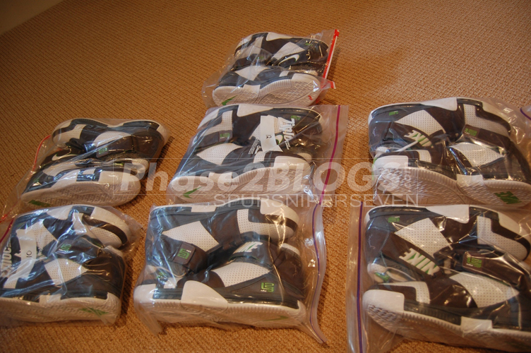 Nike Lebron 2 Dunkman