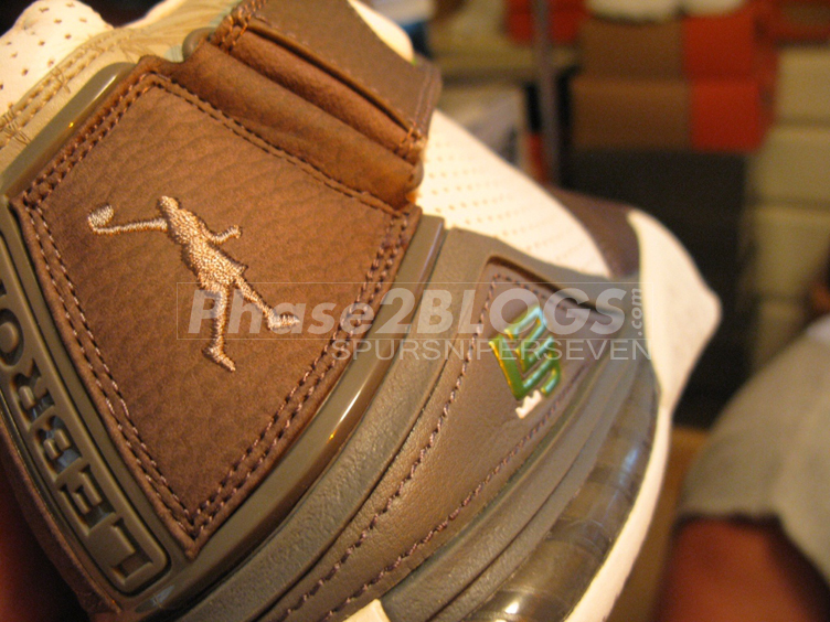 Nike Lebron Ii Dunkman 2 Arm