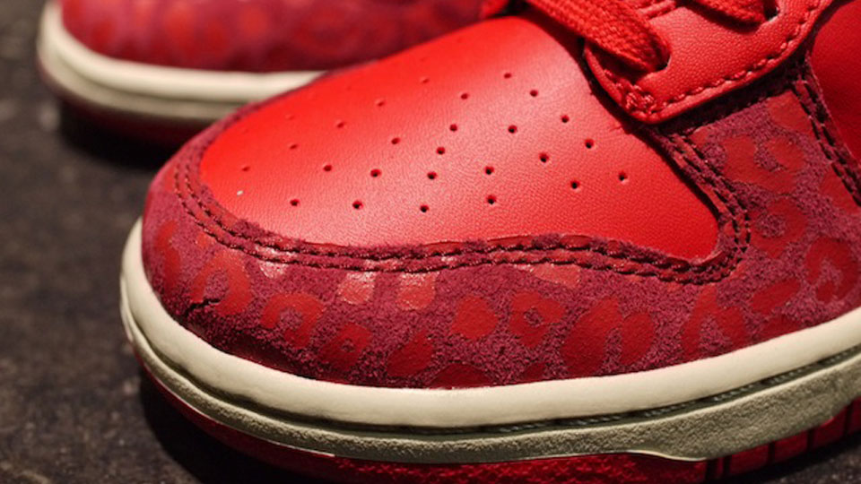 Nike Wmns Dunk High Skinny Leopard Pack 11