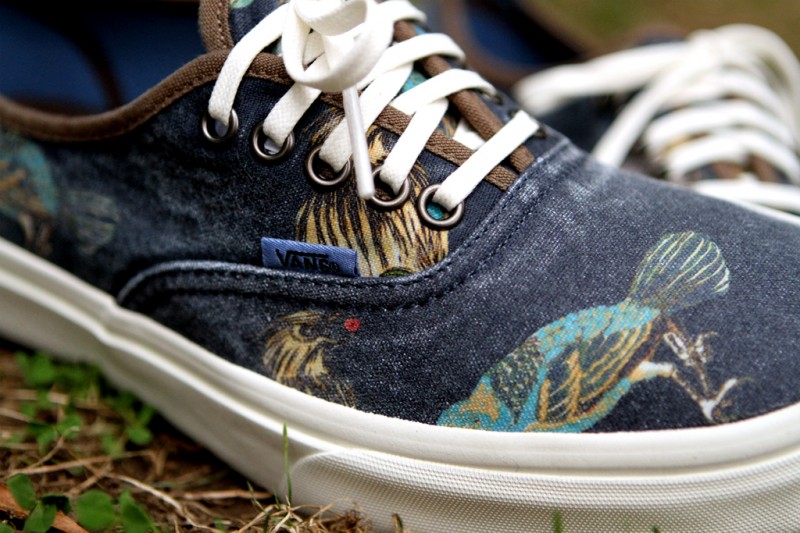 Vans California Authentic Birds Available 7