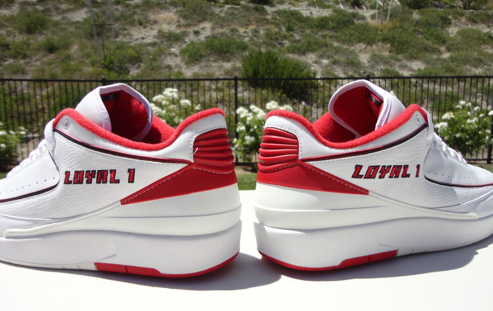 Air Jordan Ii Derek Anderson Low Home 05