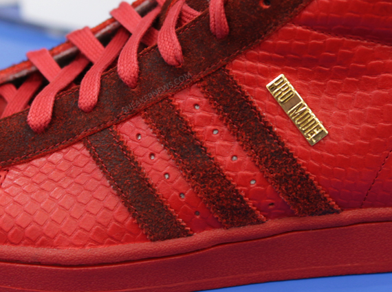 Big Sean Adidas Sneaker 3