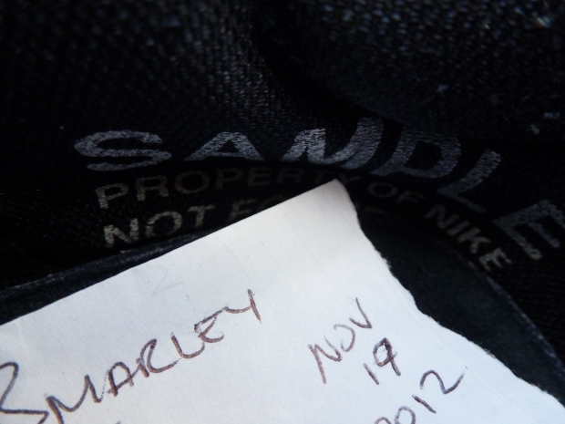 Levis X Nike Sb Dunk Low Unreleased Sample 8