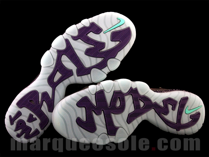 Nike Barkley Posite Max 6