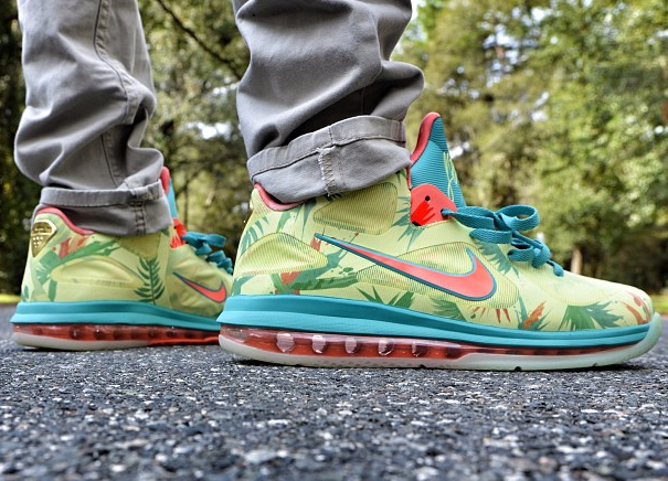 Lebronold Palmer Lebron 9 Glow In The Dark 4