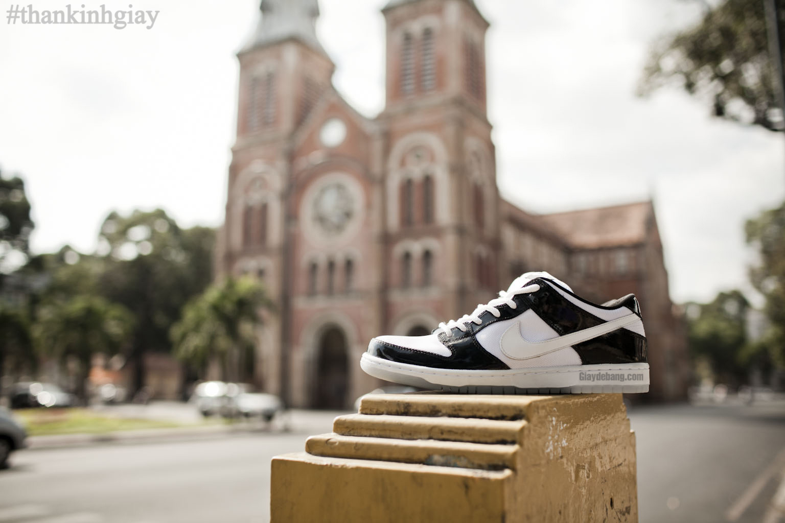 Concord Nike Sb Dunk Low Summer 2013 003