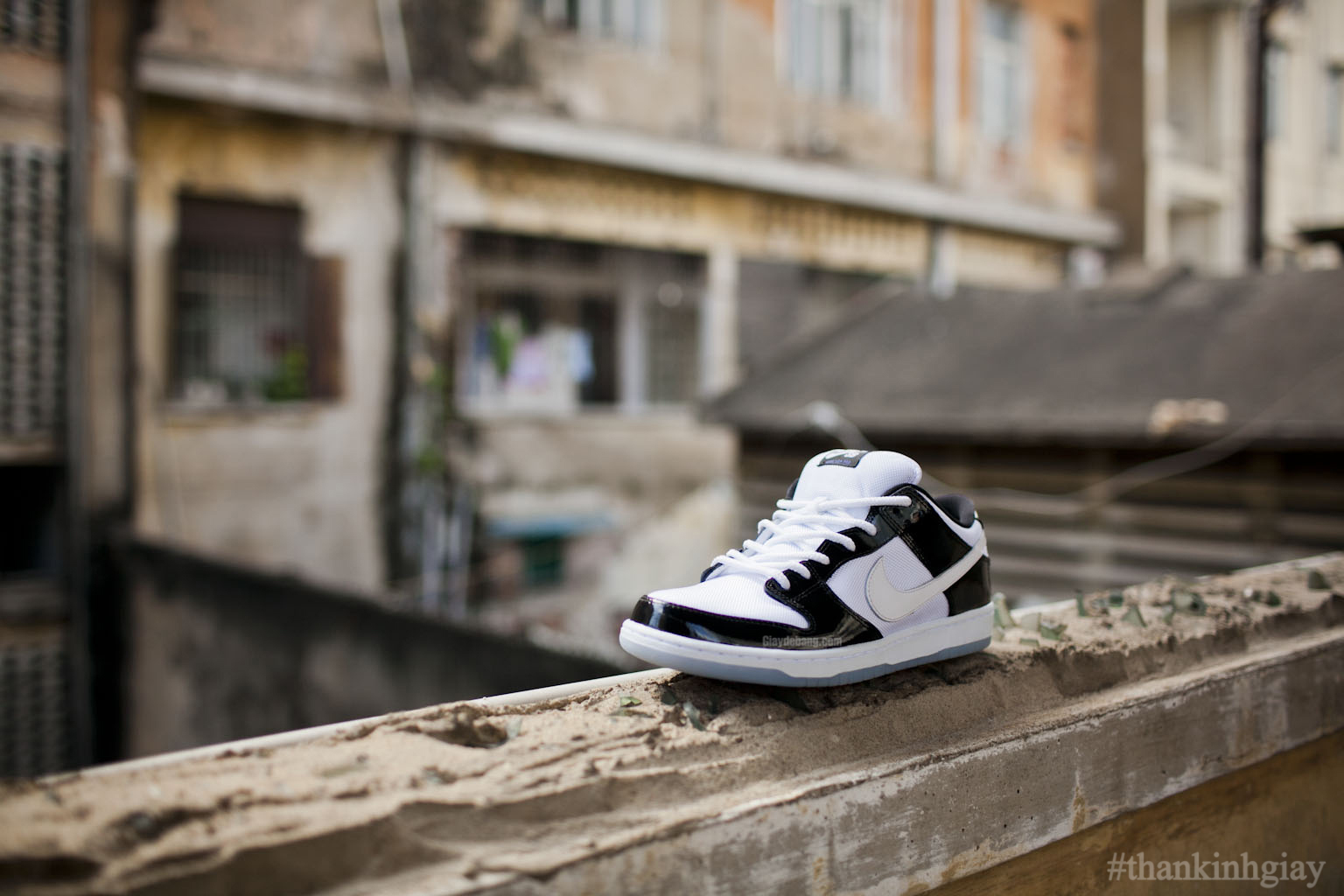 "Concord" Nike SB Dunk Low