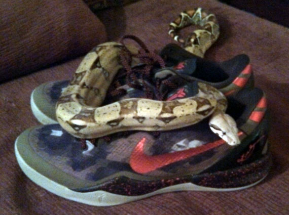 Nike Kobe 8 "Python Meets Python"