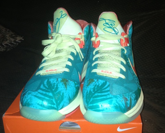 Nike Lebron 9 Low Reverse Lebronold Palmer 1