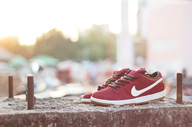 Nike Sb Dunk Low Burgundy Brown White 33