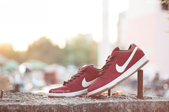 Nike Sb Dunk Low Burgundy Brown White 4